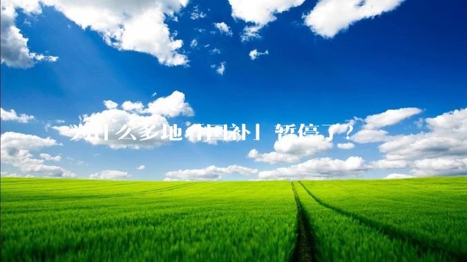 为什么多地「国补」暂停了？