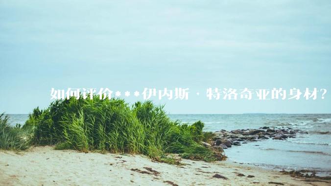 如何评价***伊内斯·特洛奇亚的身材？