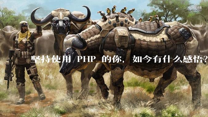 坚持使用 PHP 的你，如今有什么感悟？