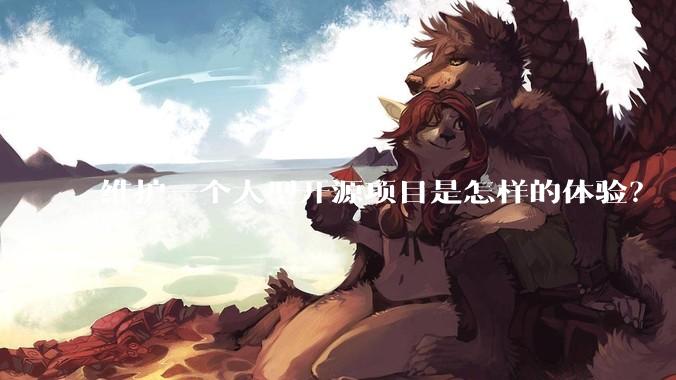 维护一个大型开源项目是怎样的体验？