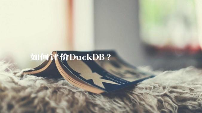 如何评价DuckDB?