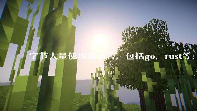 字节大量使用新语言，包括go，rust等，为什么阿里一直都抱着j***a不松手？