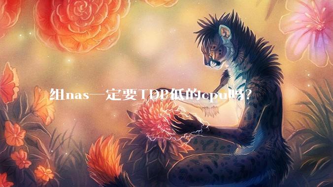 组nas一定要TDP低的cpu吗？