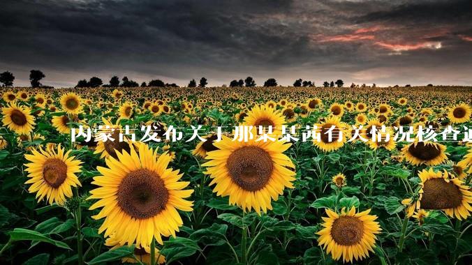 内蒙古发布关于那某某茜有关情况核查通报，哪些信息值得关注？