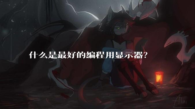 什么是最好的编程用显示器？