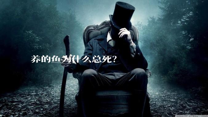 养的鱼为什么总死？