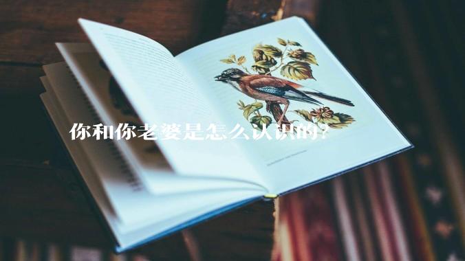你和你老婆是怎么认识的？