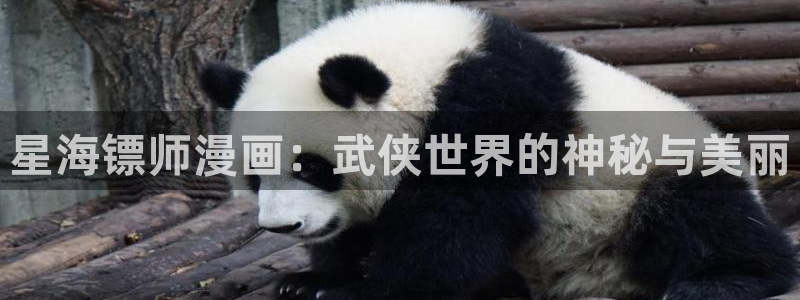 漫蛙漫画去广告版