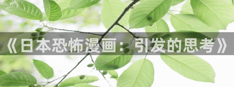 漫蛙manwa2安全下载